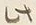 文字 此