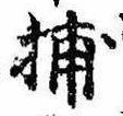 Đã định vị 捕