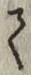 文字て