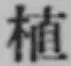 文字 植