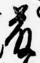 已定位藤