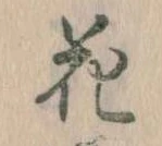 位置 確認된 花
