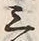 「疋」字
