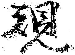 位置 確認된 規