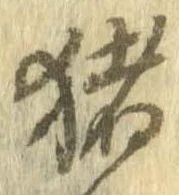 已定位猪
