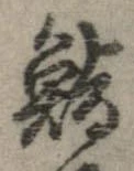 已定位鮨