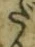 字だ