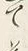 “て”字