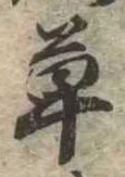 㐌定位草