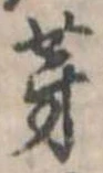 位置 確認된 芽