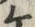 字蟹