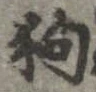 狗 위치 확인됨