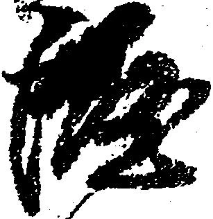 涯，已得其位