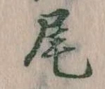 Located 尾