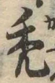 禿 위치 확인됨