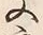 Character 文