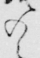 字子