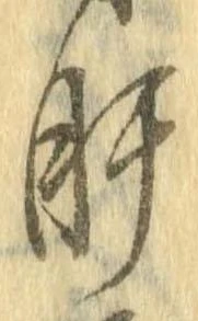 已定位肝
