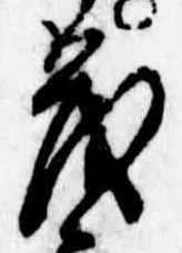 已定位茂