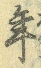 位置 確認된 年