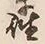 𡨸座