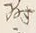Character 属