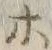 “ホ”字