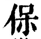 Chữ 保