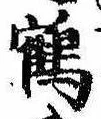 位置 確認된 鶴