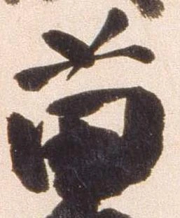 苗の位置