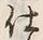 𡨸込