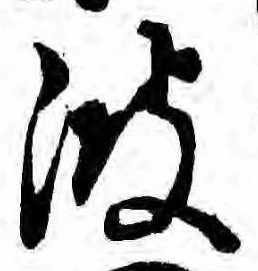 已定位波