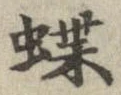 位置定マレル蝶