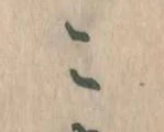 位置定マレルこ