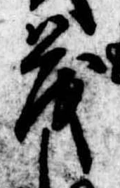 已定位茂