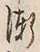 Character 漸