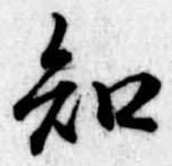 已定位知