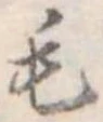 位置定マレル毛