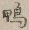 字鴨