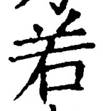 「若」字
