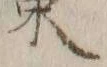字策