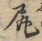 已定位尻