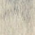 “綱”字