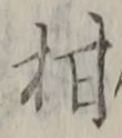 文字柑