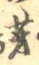 位置 確認된 芽