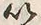 “以”字