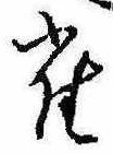 已定位雀