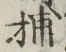 Đã định vị 捕