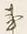 Character 少