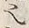 字理